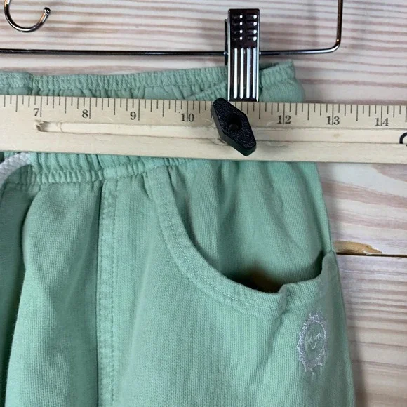 Big Bud Sweatsuit XS P Sage Green French Terry Knit Los Angeles Made Athleisure - Picture 9 of 15